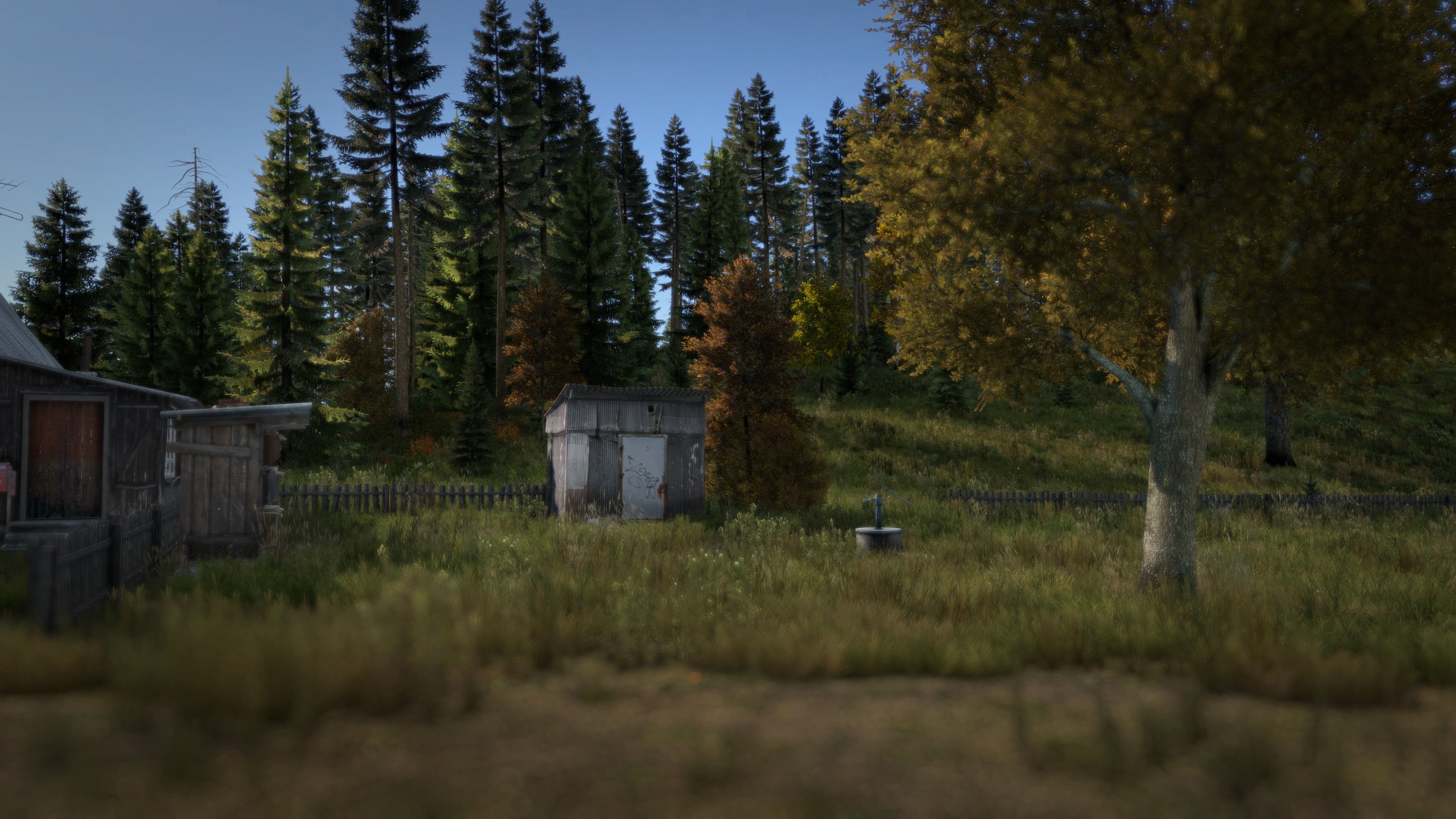 Small metal shed at the edge of a forest